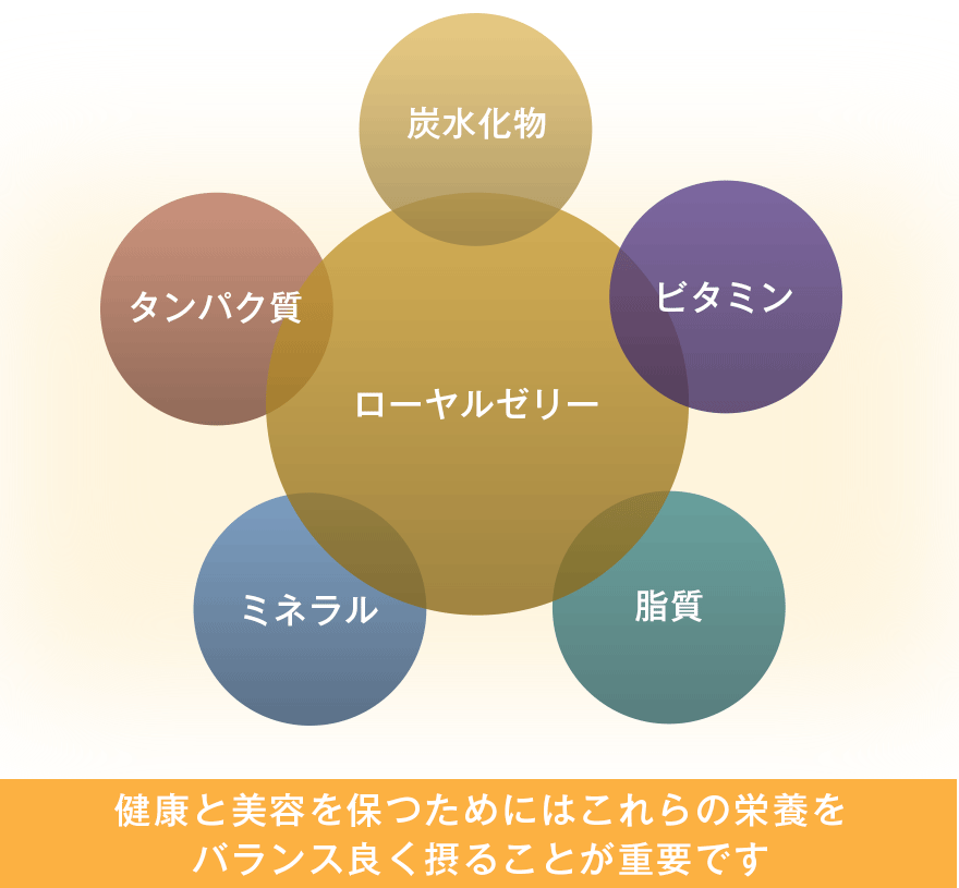 健康とえ美容を保つためにはこれらの栄養をバランスよく摂ることが重要です